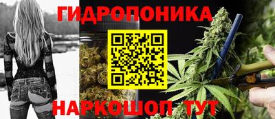 гашик Абакан