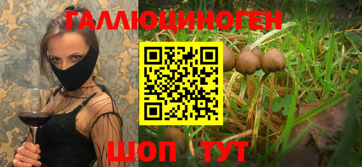 Псилоцибиновые грибы Cubensis  Вход с VPN  Алексин 
