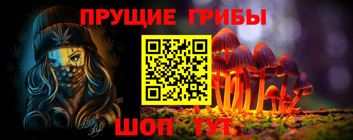 Псилоцибиновые грибы GOLDEN TEACHER Алексин